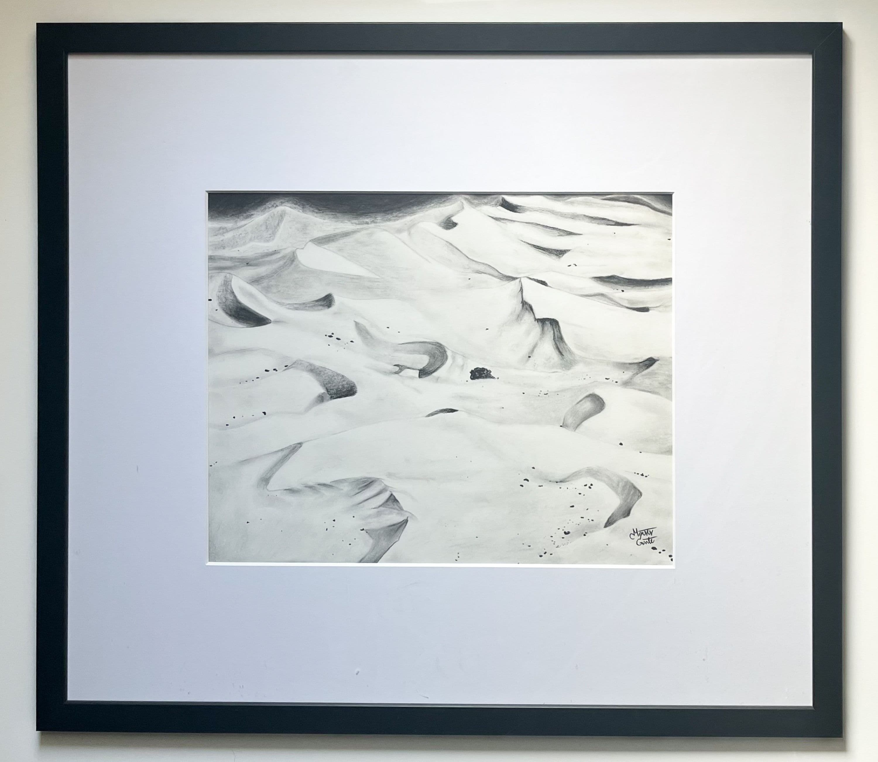 Monochrome desert landscape full of dunes, rocks, and one plant.