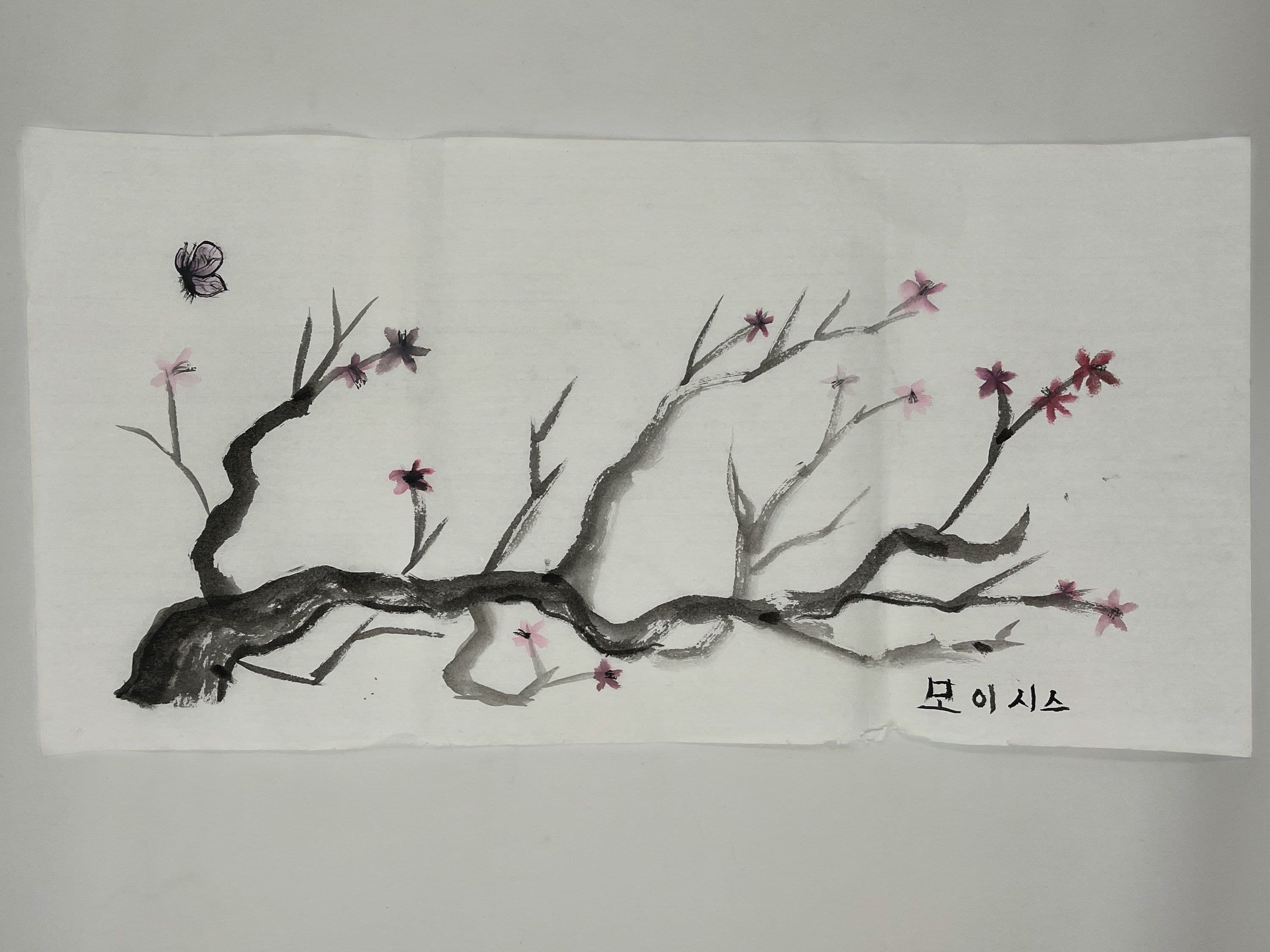Branch of a plum blossom tree with butterfly flying just above.